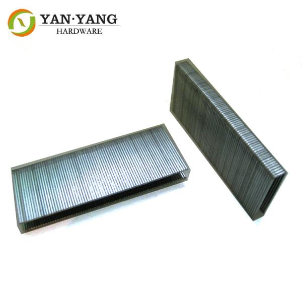 Buy cheap Chinese supply furniture staples factory price galvanized sofa staples from wholesalers