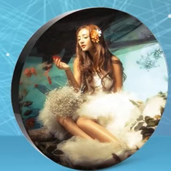 Buy cheap Seamless 1R1G1B Round Led Display Panel P4mm Die Casting Aluminum from wholesalers