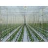 Buy cheap Greenhouse Tomato Tying Twine With Hook 7500D 9000D Rope Denier from wholesalers
