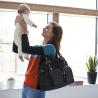 Buy cheap Amazing design diaper bags mummy baby bag from wholesalers