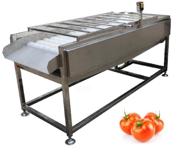 Buy cheap 500kg/h Food Processing Plant Equipment , Vegetable Fruit Brush Washer from wholesalers