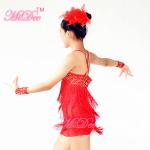 Biketard Confetti Sequin Fringe Dress Kids Purple Latin Dance Costumes