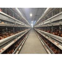Buy cheap Durable 45 Days Chicken Cage Modern Poultry Cages Easy Daily Management product