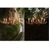 Buy cheap Countryside Deer Antler Chandelier For Farmhouse Warehouse Lighting Fixtures (WH-AC-31） from wholesalers