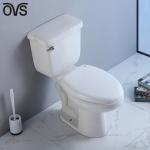 Porcelain Washdown Two Piece Toilet Bathroom Integrated Siphon Water Closet