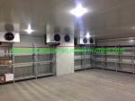 Small Walk in Freezer/Chiller for Vegetables Fruits Refrigerant Freon Cold