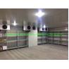 Buy cheap Small Walk in Freezer/Chiller for Vegetables Fruits Refrigerant Freon Cold Storage Room from wholesalers