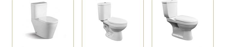 Floor Mounted Bathroom Sanitary Ware White 2 Piece Toilets Bowl