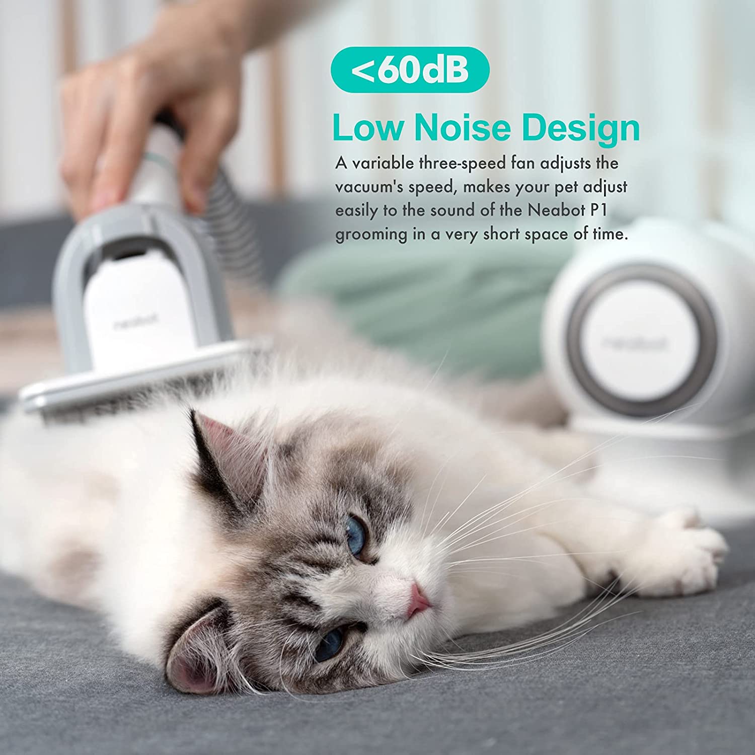 Dog Grooming Tools Set Adjustable Suction Vacuum Cleaner for Pet Hair Removal