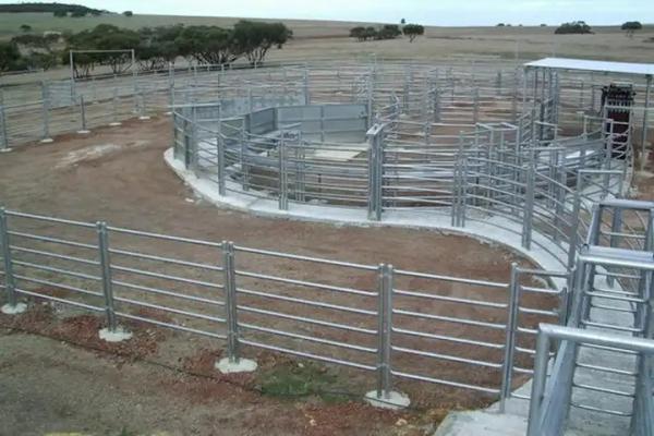 Buy cheap Round Tube 6ft Metal Livestock Fence Panels Heavy Duty Galvanized Corral from wholesalers