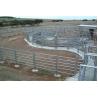 Buy cheap Bulk Carbon Steel 1.7m Galvanized Livestock Fence Panels , Portable Goat Panels from wholesalers