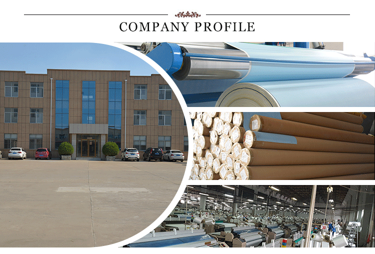 Double roller blinds window blinds fabricin door blinds fabric white coating roller fabric Europe style two layer blind