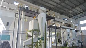 Wholesale Thress Phase 5t/h Customzied Wood Pellet Press Complete Production line from china suppliers