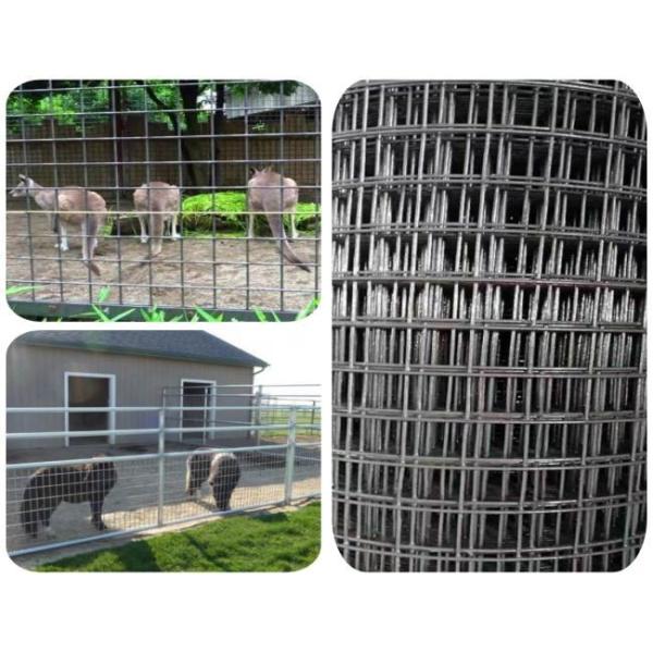Non Rusting Welded Steel Wire Mesh Zoo Animal Enclosure Wire Mesh 10m-30m