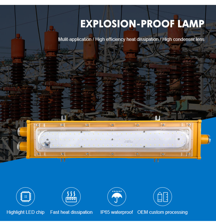 Outdoor Explosion Proof Linear Light Wall Mounted ODM