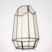 Buy cheap Large Terrarium Glass Homeware Hexagon Planter Container For Succulent Plant product