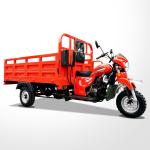 250CC Automatic Lifting Cargo Tricycle Motorized Cargo Trike for Customer