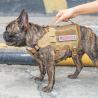 Buy cheap Outdoor Tactical Pet Training Chest Strap With Hypalon Material Dog Harness Dog Leash Vest Style Dog Leash from wholesalers