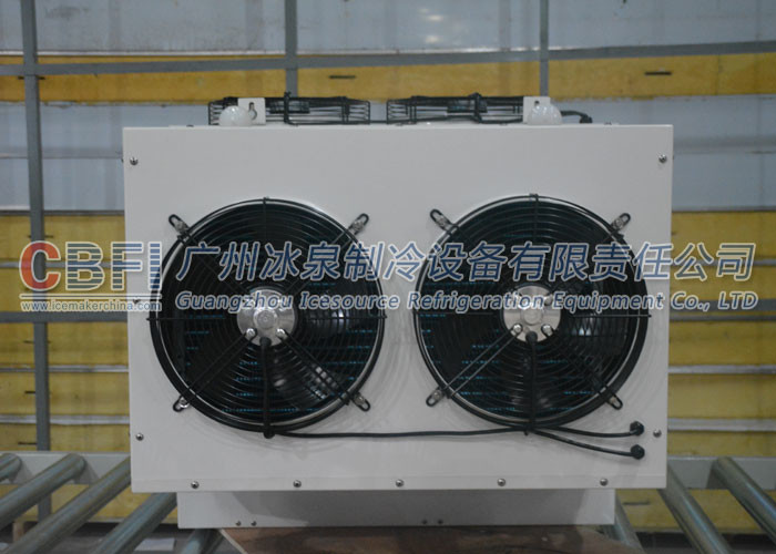 -18 ~ -25℃ Polyurethane Pnel Freezer Cold Room for Fish and Meat Storage