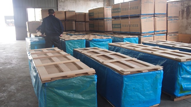 Engineered Wood Veneer Manchurian Ash Wood Veneer For Furniture