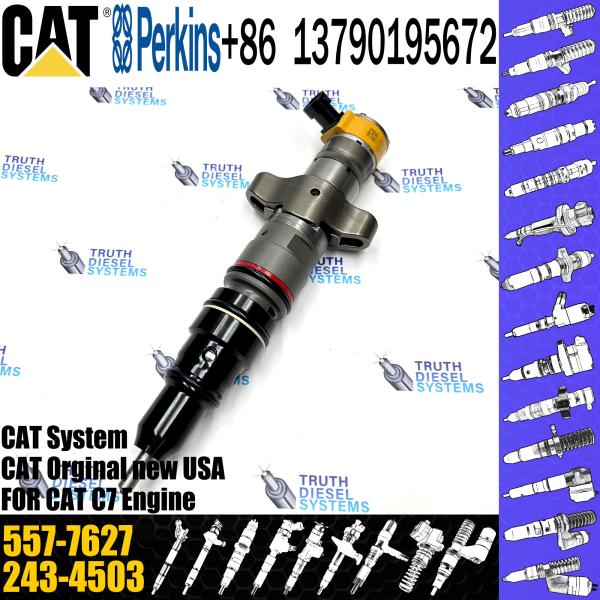 Buy cheap C7 C9 Fuel Injector 387-9427 557-7627 293-4071 295-1411 293-4573 10R-4763 20R-8059 20R-8057 For Caterpillar Excavator from wholesalers