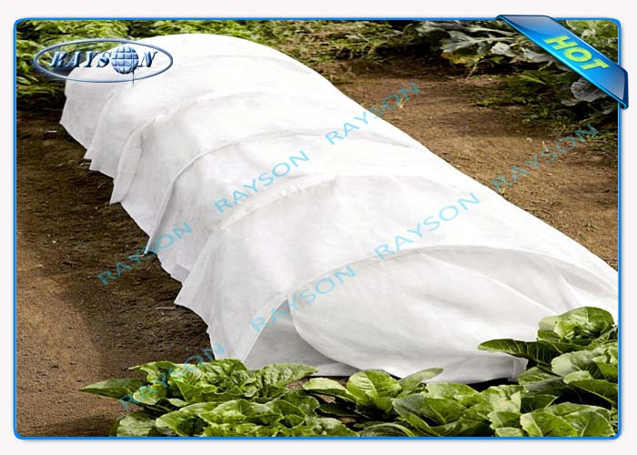 Biodegradable And Breadable 23gr Pp Spunbond Non Woven Agriculture Fabric