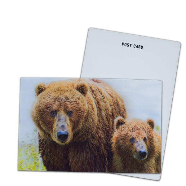 Buy cheap Brown Bear In Alaska Lenticular Card Souvenir Gift Card For Tourist 3d Postcards from wholesalers