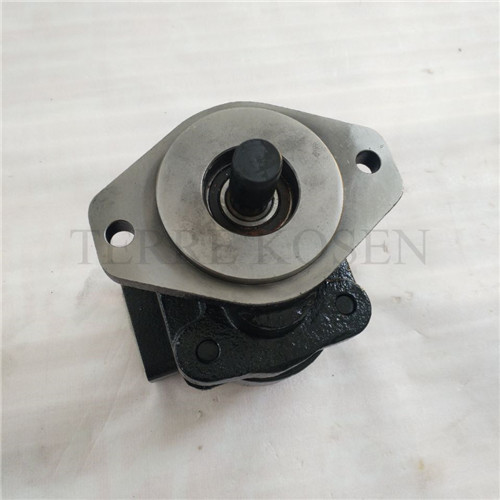 Hydraulic gear pump P330 bushing pump P330A597FYAB15-25
