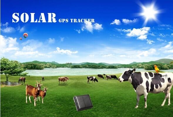 Buy cheap Waterproof anywhere gps tracker reachfar rf-v26 mini solar gps animal tracker from wholesalers