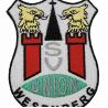 Buy cheap Heat Cut 4in Sports Team Patches Embroidery Logo Badges For Club from wholesalers
