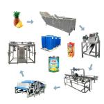600 Tons Per Day Pineapple Production Line SUS304 Material Pineapple Beverage