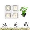 Buy cheap SMD3030 800nm P120 120W COB LED Grow Lights from wholesalers