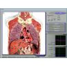 Buy cheap 3d Nls Health Body Composition Analyzer , Blood Cell Analyzer from wholesalers