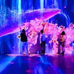 3d Holographic Interactive Wall Projection Software Immersive Room Experience