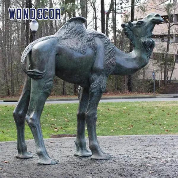 Buy cheap WONDERS Life size outdoor Bronze Camel Statue Bronze Camel Figurine from wholesalers