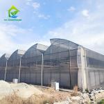 Tropical Small Tunnel Film Plastic Tunnel Agricultural Greenhouses For Tomato
