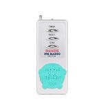 OEM FM Speaker Radio With Dry 2*AA Battery And FM Frequency 88-108MHz