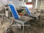 380V Good Effect Washing Peeling Vegetables Machine for Large Scale Vegetable