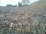 Plastic Geogrid Best and Professional After-sale Support from Top Manufacturers
