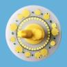 Buy cheap Silicone Cup Lid Leakproof And Dustproof Ceramic Tea Cup Mug Lid Sealing Cap Fresh-Keeping Cap from wholesalers