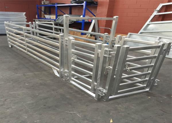 Buy cheap Interpon Powder Coated RAL 6005 USA Livestock Fence Panels 6ft X 10ft from wholesalers