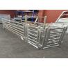 Buy cheap Interpon Powder Coated RAL 6005 USA Livestock Fence Panels 6ft X 10ft from wholesalers