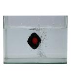new arrival waiter call sytsem totally waterproof call button