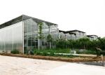 4mm / 5mm Glass Covering Glass Greenhouse Kit , Forest Garden Greenhouse For