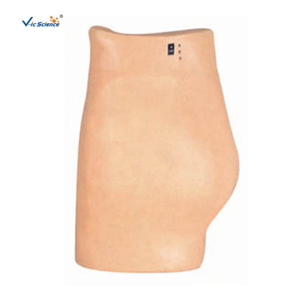 Buy cheap Electronic Buttocks Injection Simulator Training Nursing Manikins Model from wholesalers