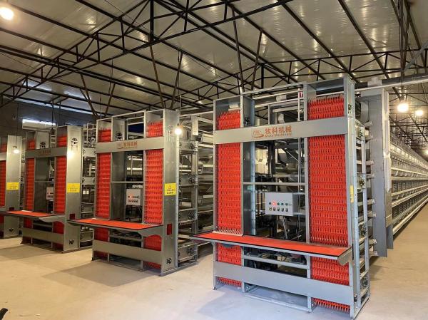 Buy cheap Commercial H Type Chicken Wire Cage / Layer Hen Cages Long Service Life from wholesalers
