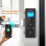 Full Automatic Smart Glass Door Lock Code IC Card Temporary Key EKey Optional