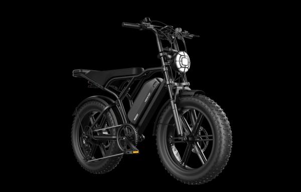 Buy cheap R002 A High-Performance Fat Tire Electric Bike with 750W Motor and 48V Battery for Your Business Needs from wholesalers