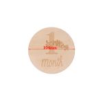 Cloud shaped Baby Monthly Milestone Cards Wooden Printed Milestone Discs for