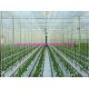 Buy cheap High Strength PP Twisted Film Greenhouse Tomato Tying Twine from wholesalers